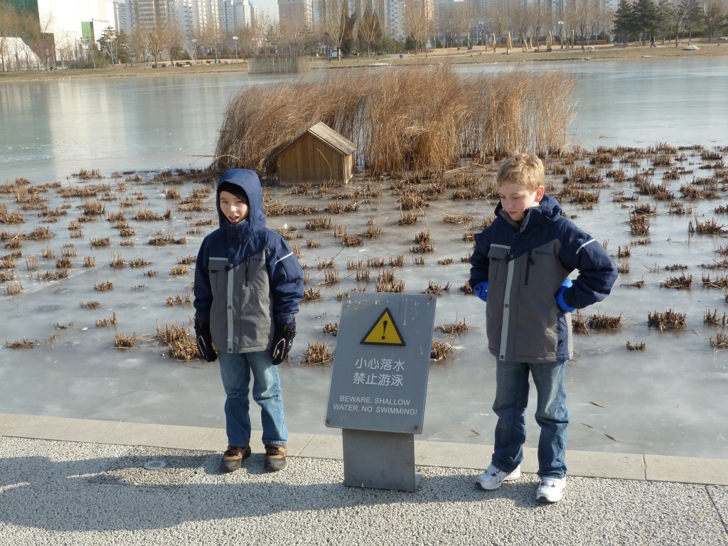 Don't swim in the ice!