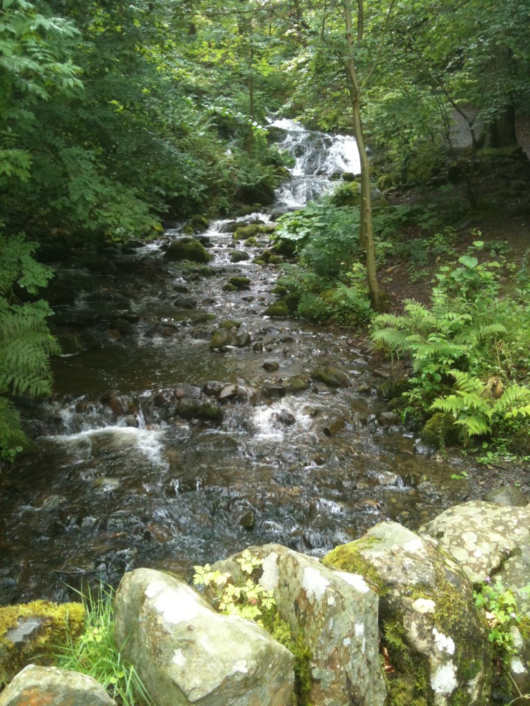 Lovely creek in Windermere