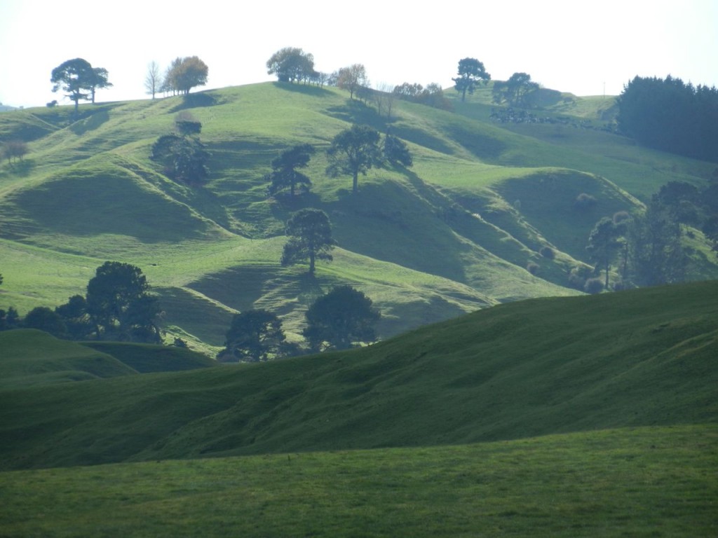 Rolling green hills.