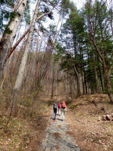 Nakesendo Trail up to the Torii Pass.